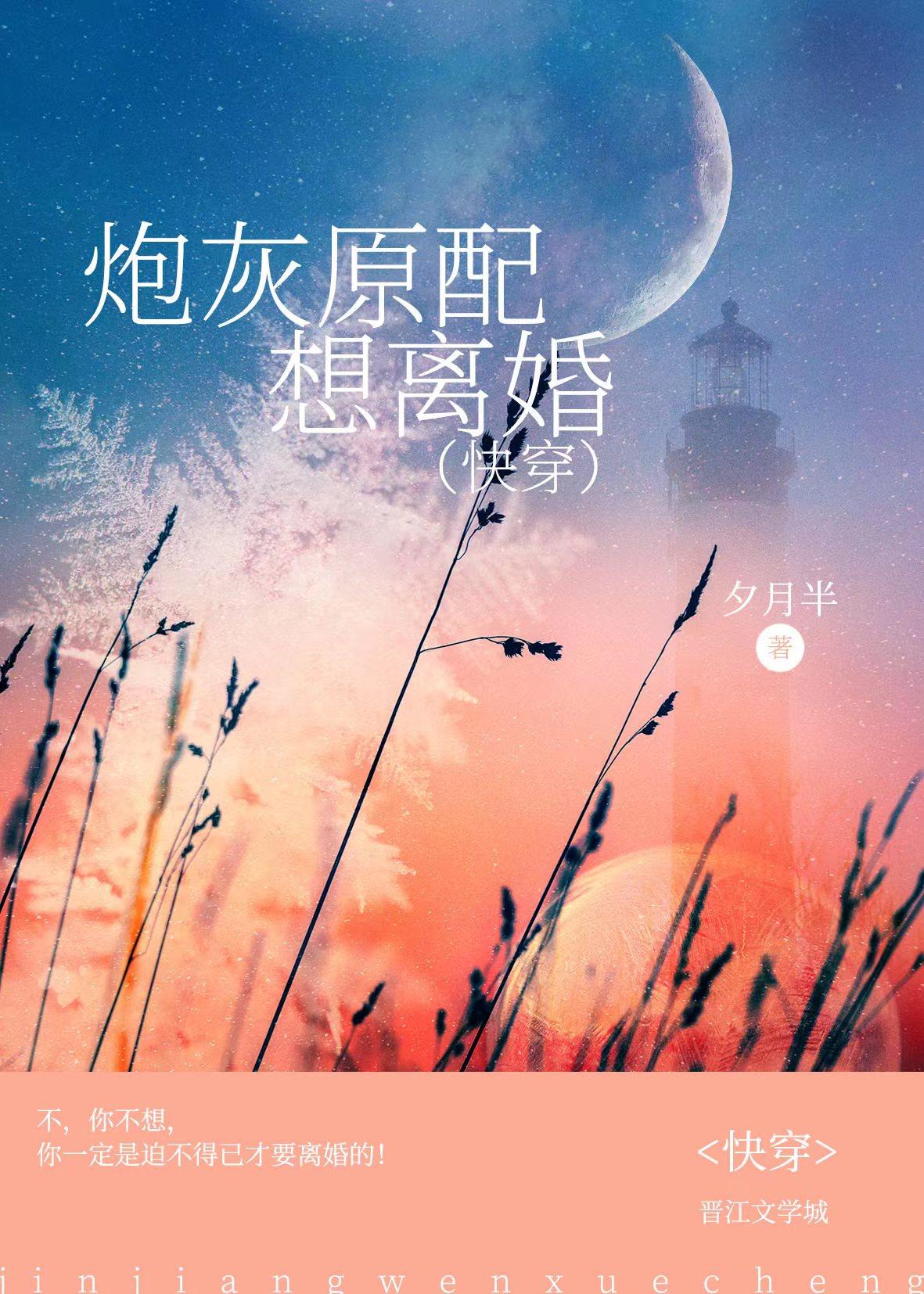 炮灰原配的人生(快穿)轻舞文学网