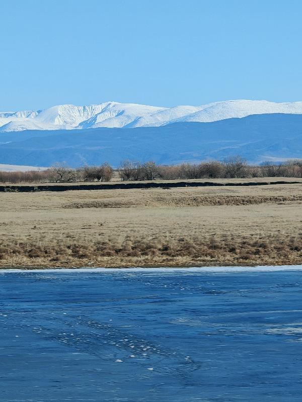 一气三清诀在线阅读