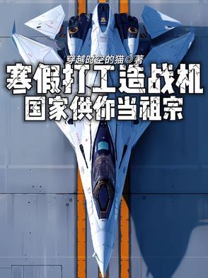 寒假打工造战机,国家供你当祖宗